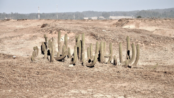 The Sand Shortage – How the Insatiable Demand for Concrete is Spurring Illegal Mining Cartels The Sand Shortage: How the Insatiable Demand for Concrete is Spurring Illegal Mining Cartels
