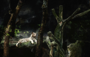 We Misjudged Animal Consciousness. Could A.I. Be the Next Frontier of Sentience?